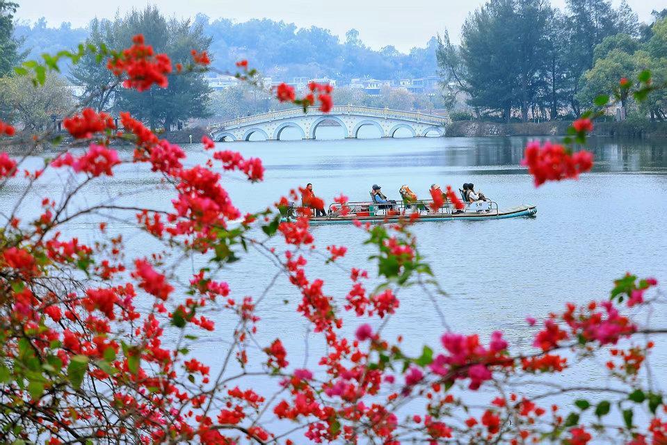 广州周边春季花海